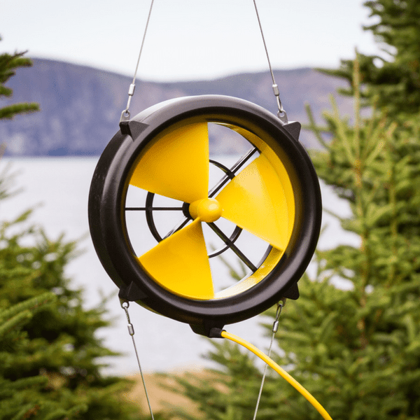 Waterlily Turbine Review