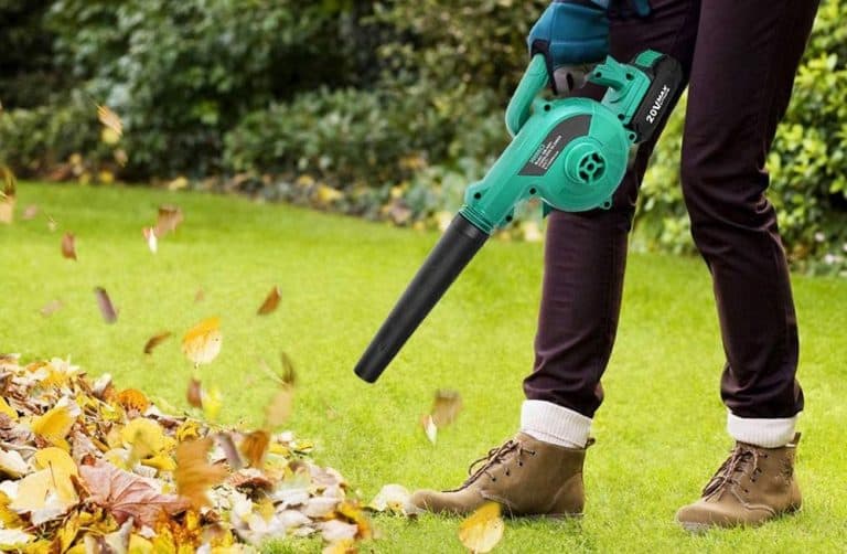 The Best Cordless Lightweight Leaf Blower [2023] Archute