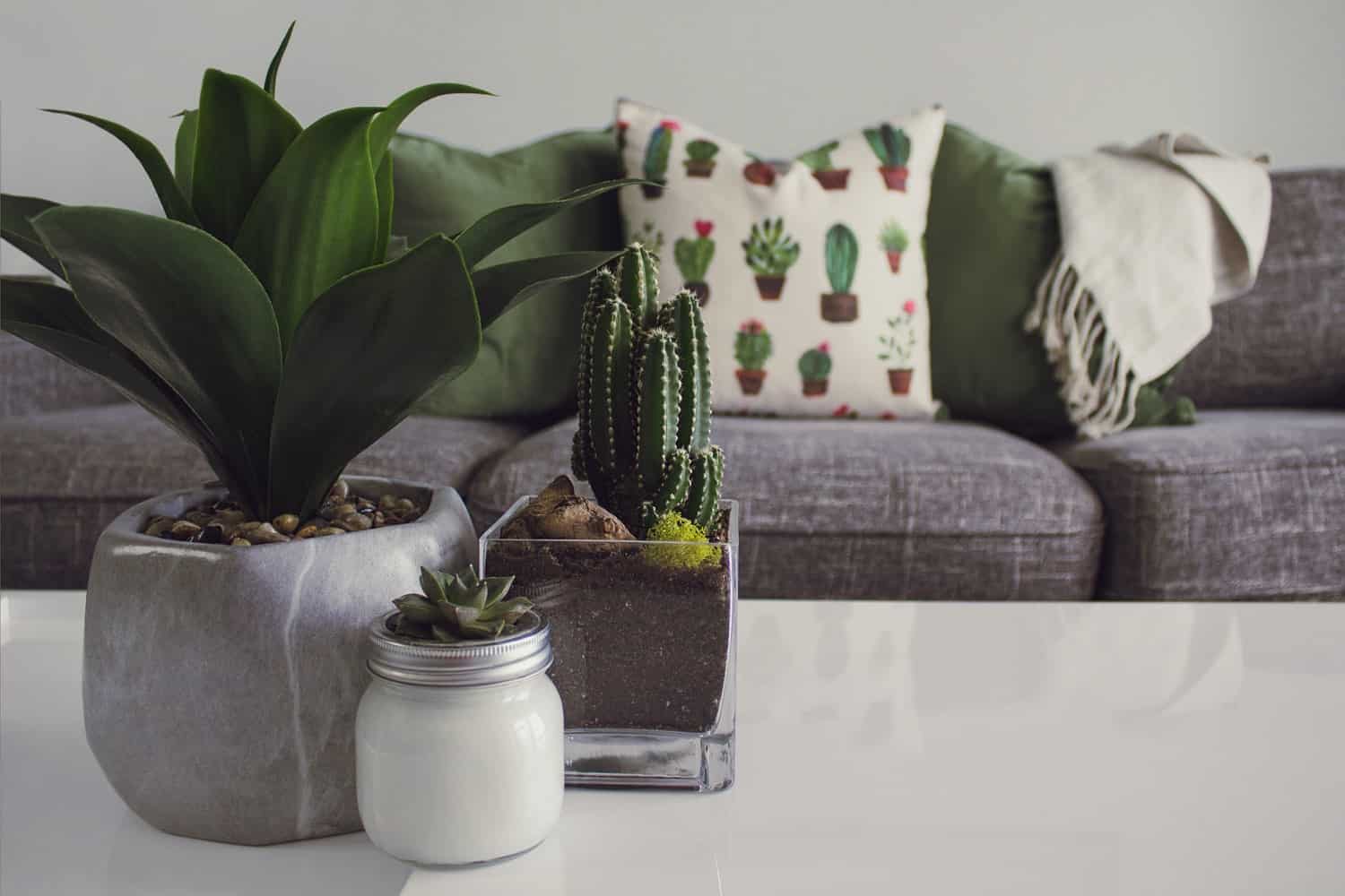 interior design