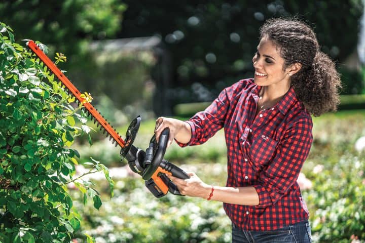 Best Lightweight Cordless Hedge Trimmer For Your Garden - Archute