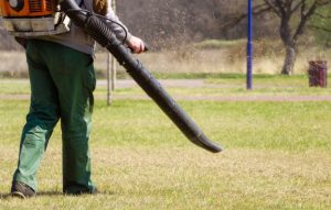 Best Backpack Leaf Blower For Clearing Your Garden - Archute