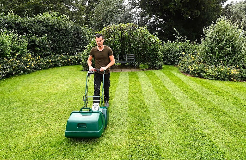 Self Propelled Mower