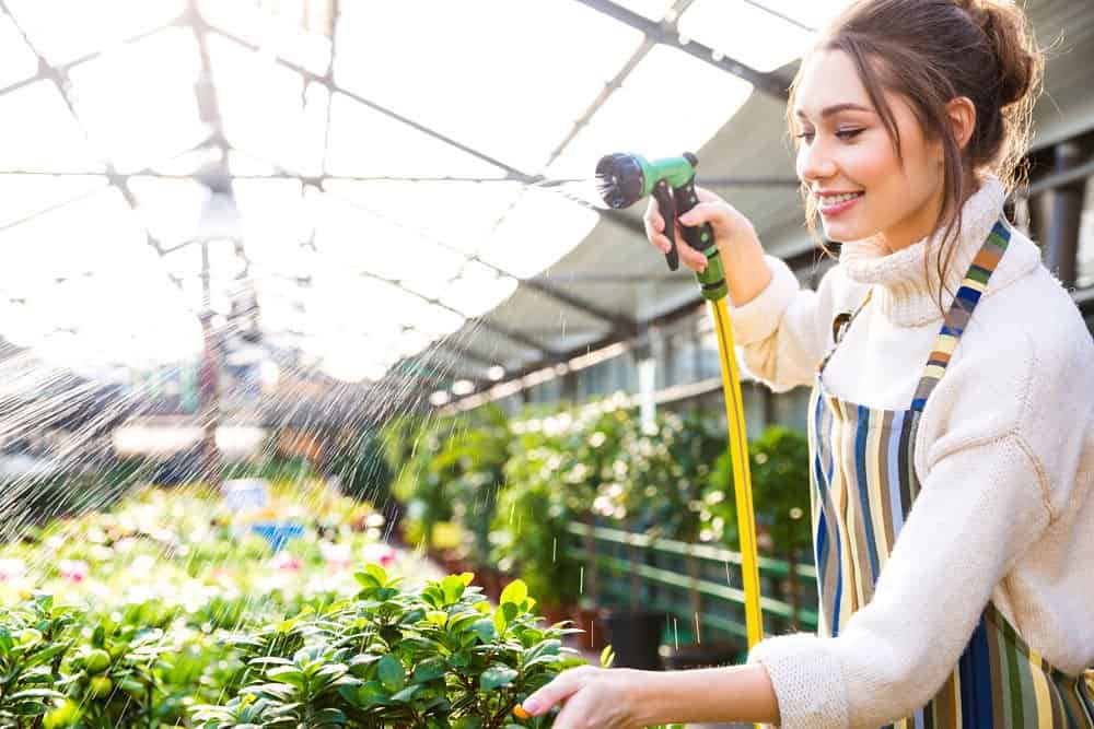 gardening in green house