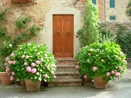 Type of Door