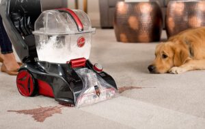 pink puppy carpet cleaners