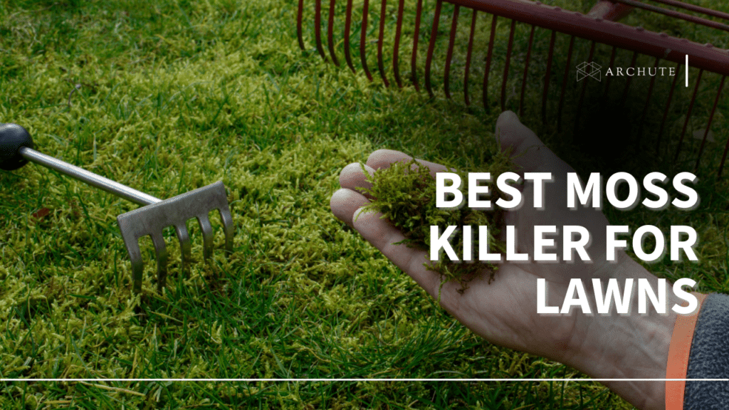 Best Moss Killer for Lawns to Regrow Healthy Grass Archute