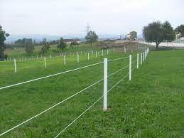 Best Portable Electric Fence