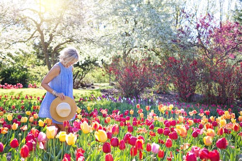 flower bed ideas for your home