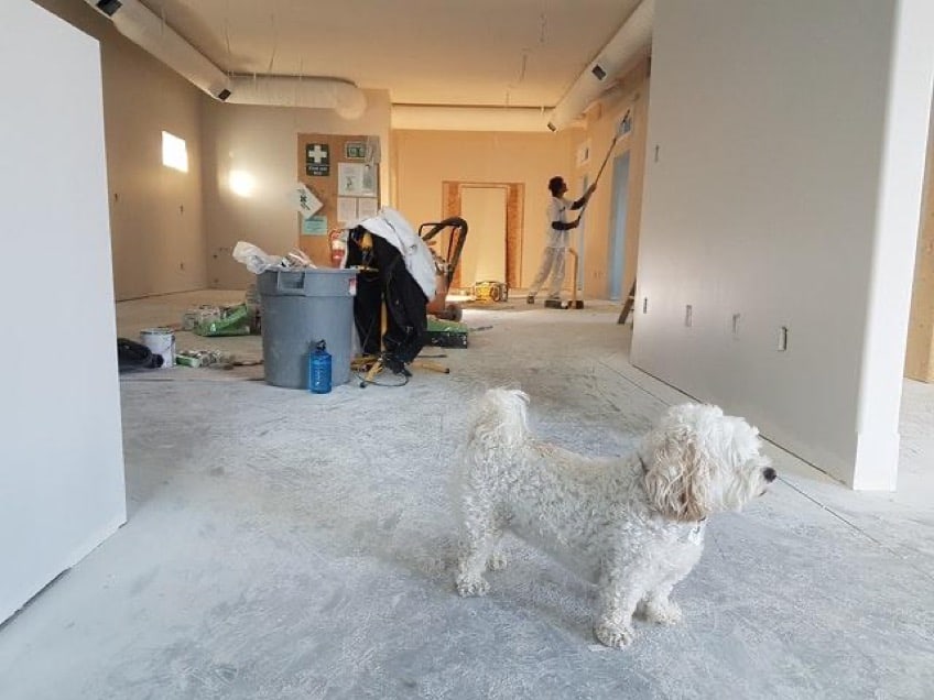 Ideas for Renovating your Home in the City