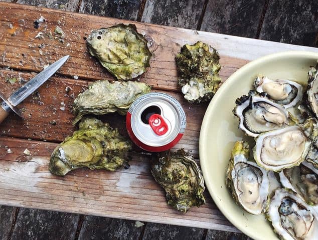 Oyster Shucking Knives