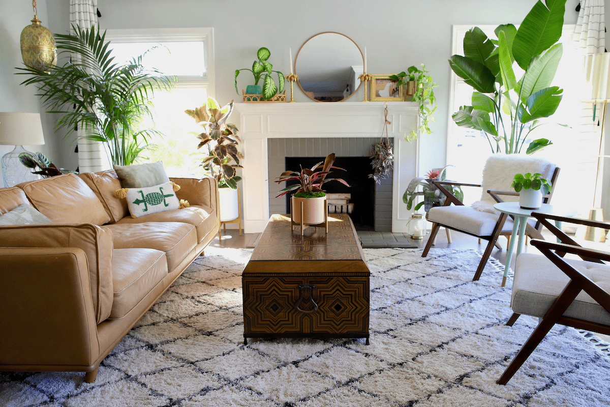 How to Arrange Plants in Any Living Room - Archute