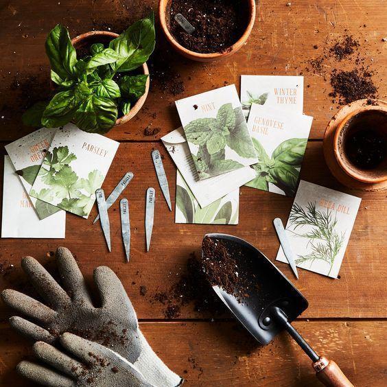 best vegetable seeds online