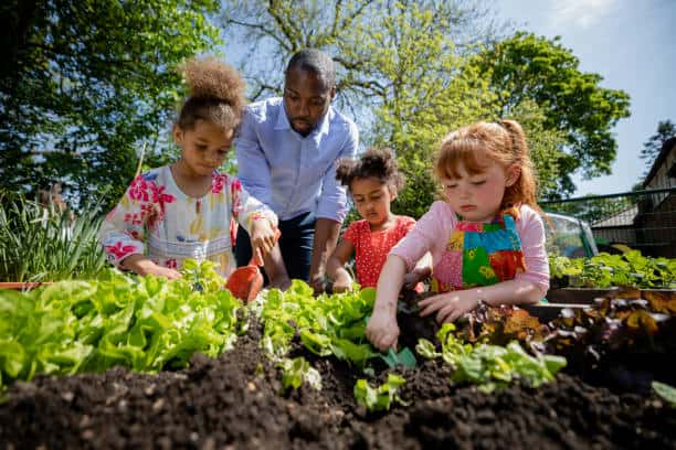 best garden plants for beginners