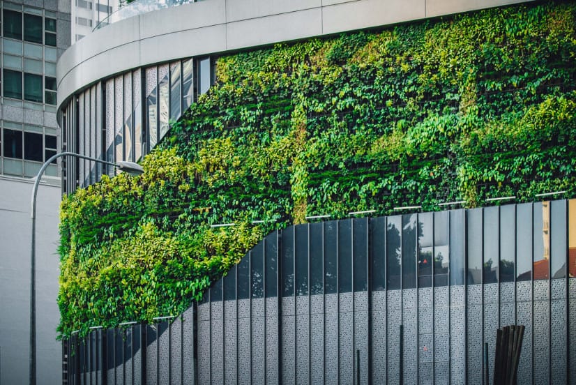biophilic design guide