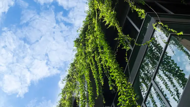 green buildings fight climate change