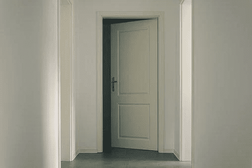 Hollow Core Door