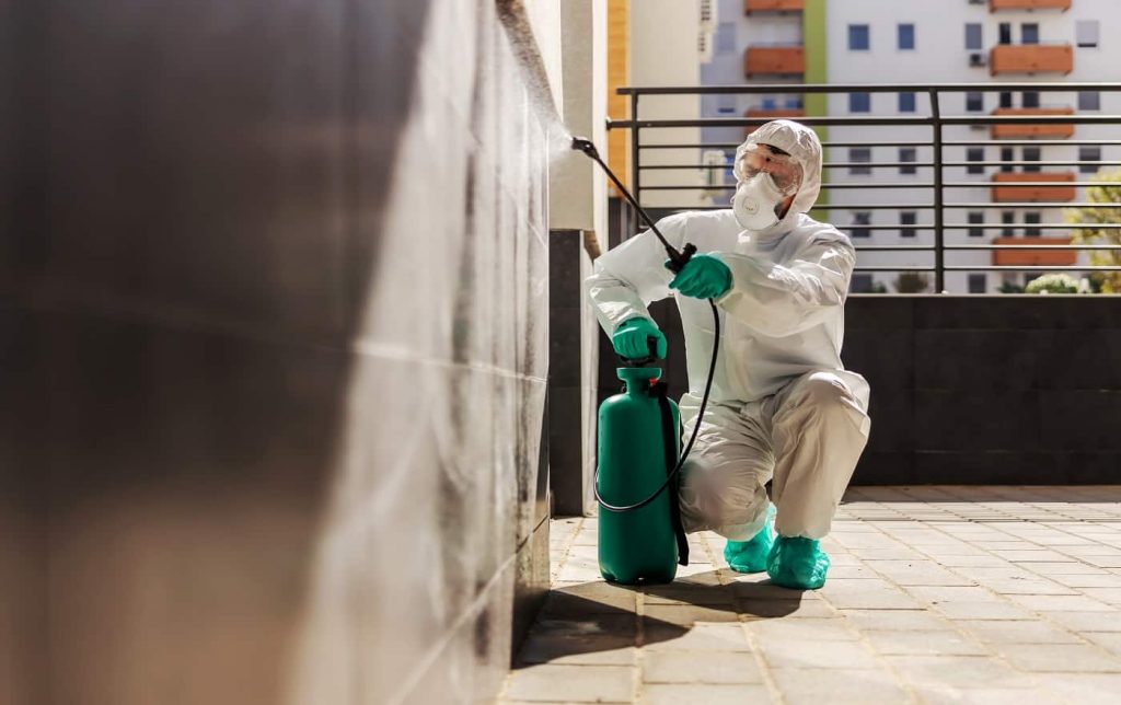 Best Paint Sprayer for Fences for a Smooth Finish Archute