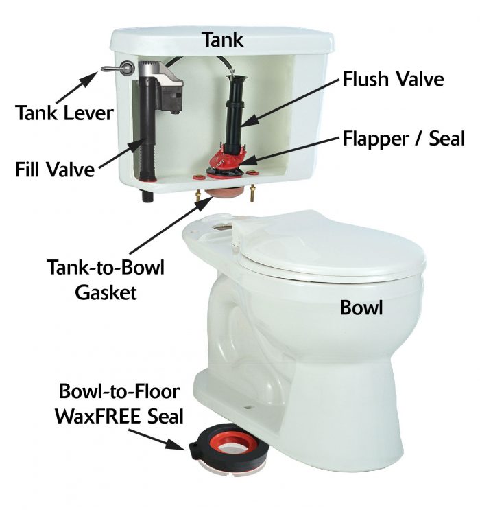 Learn the Basics of How Toilet Plumbing Works Archute