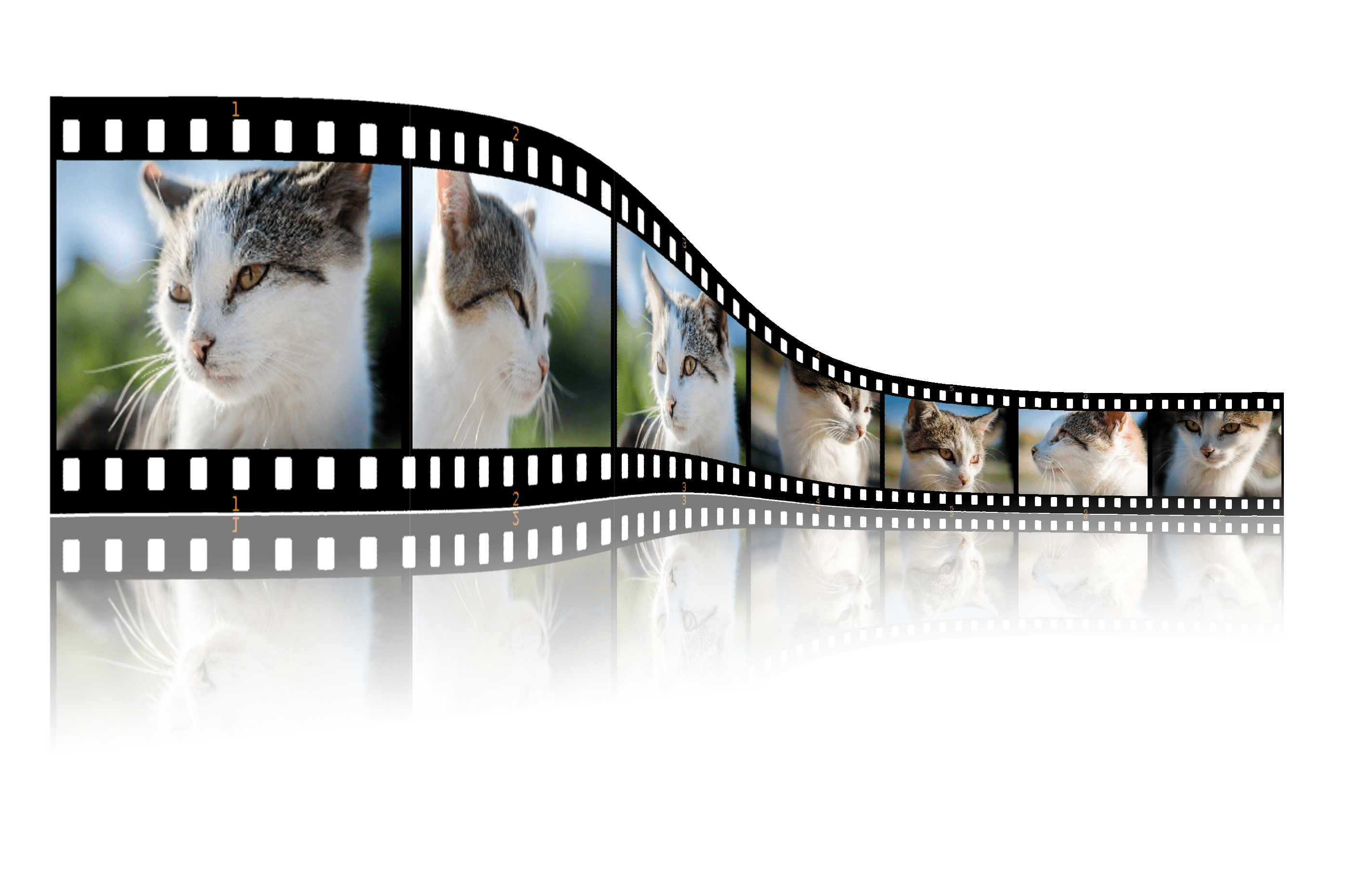 best photo printing service