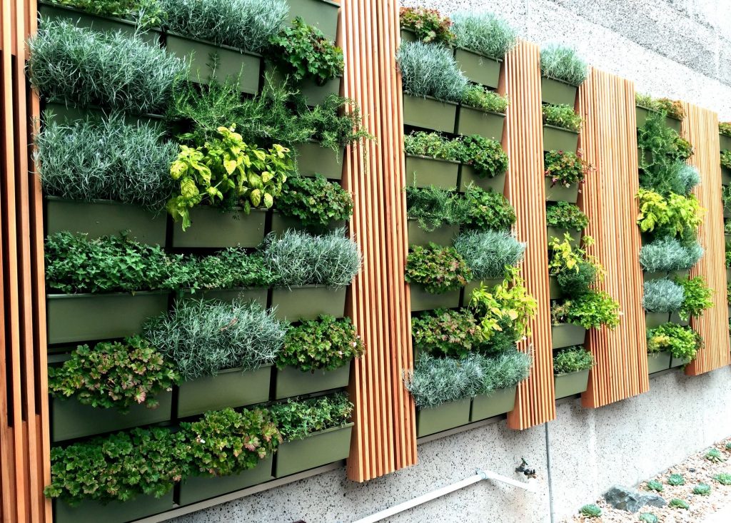 Best Plants for Wall Planters to Create a Living Wall Archute