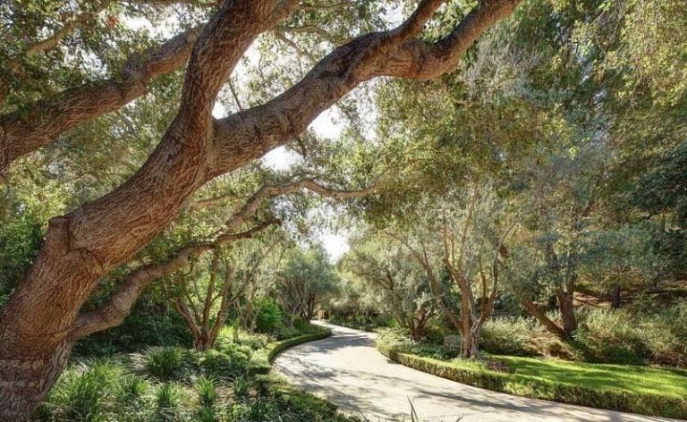 Where Does The Rock Live? Dwayne Johnson’s $27.8M Home - Archute