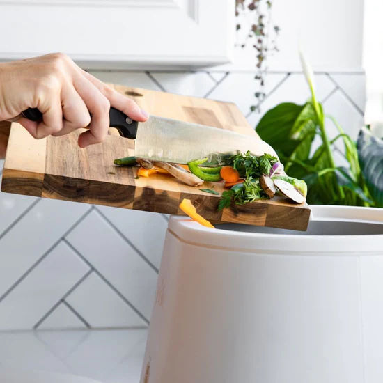 best electric kitchen composter