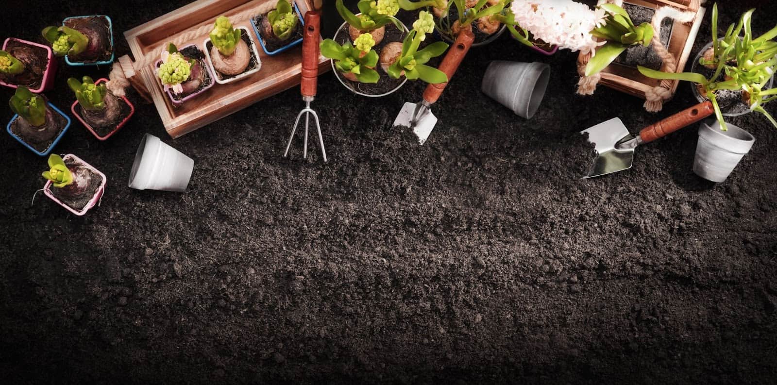 Soil Healthy And Prevent Degradation