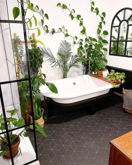 Indoor gardening ideas - bathtub greenery