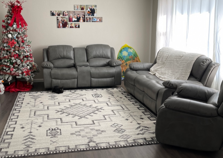 Best Leather Couch for Dogs and Other Furry Animals Archute