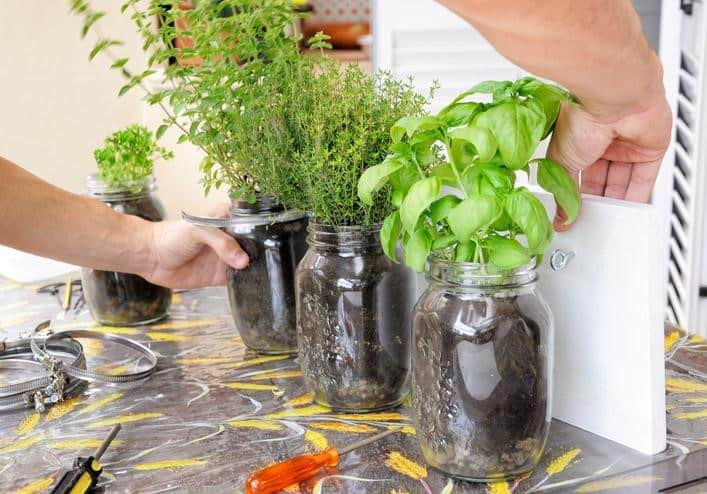 Indoor gardening ideas - Add Herbs To Your Kitchen