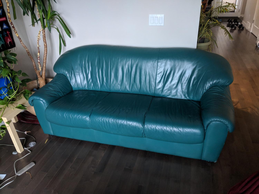 Best Couch Material for Dogs at Home (for Living Space) Archute