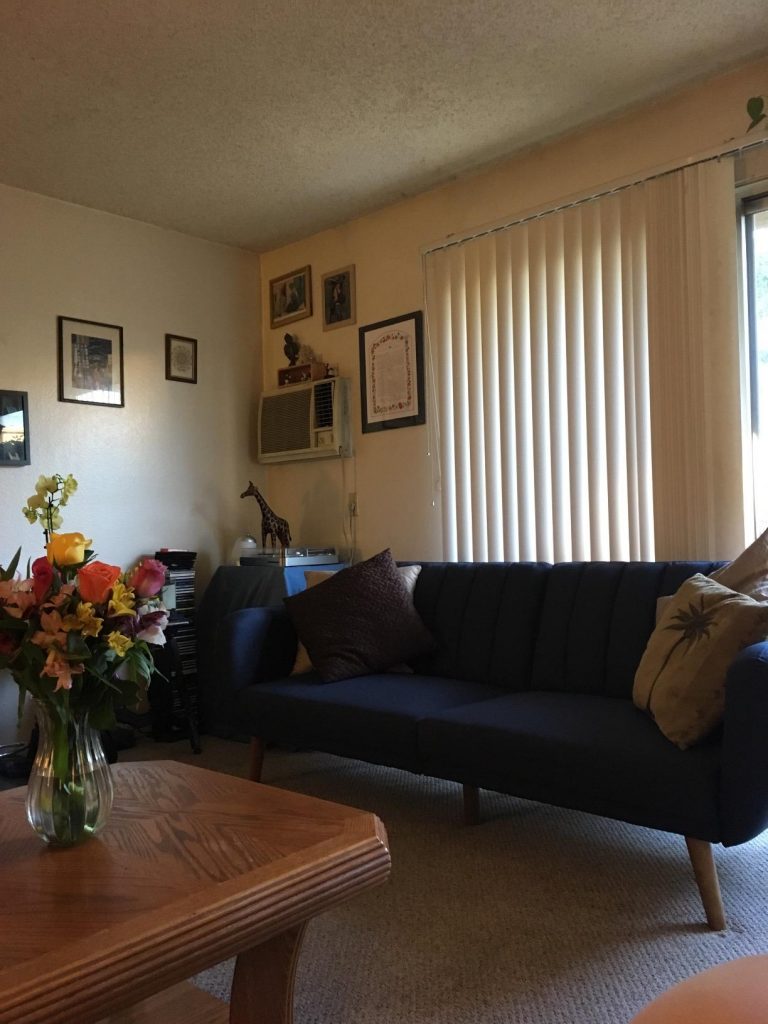 Best Couch for Back Pain and Right Posture Archute