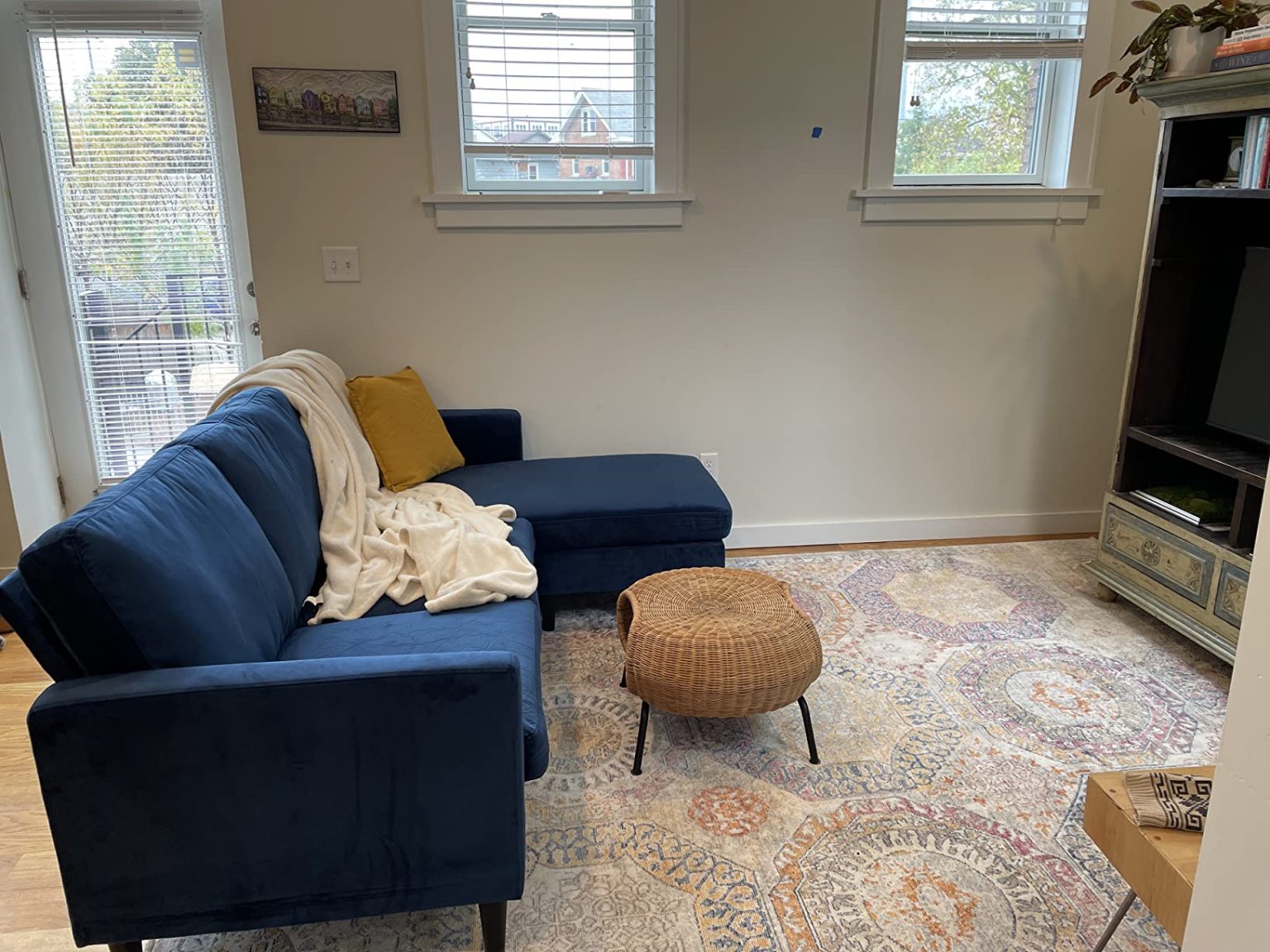 Best Couches for Dogs and Other Furry Pets Archute