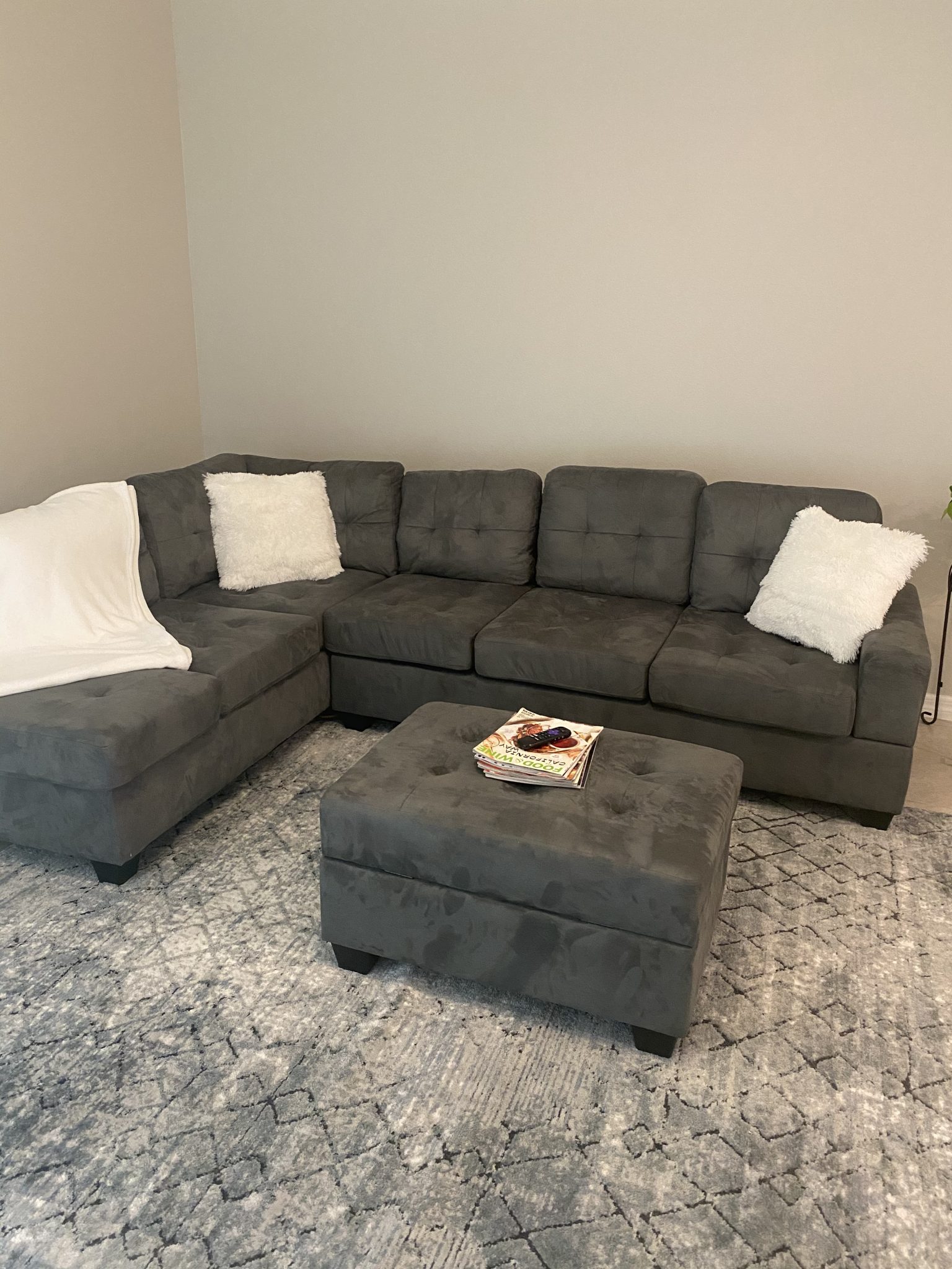 Best Couches for Dogs and Other Furry Pets Archute