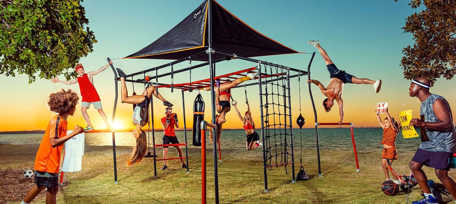 Backyard monkey bars