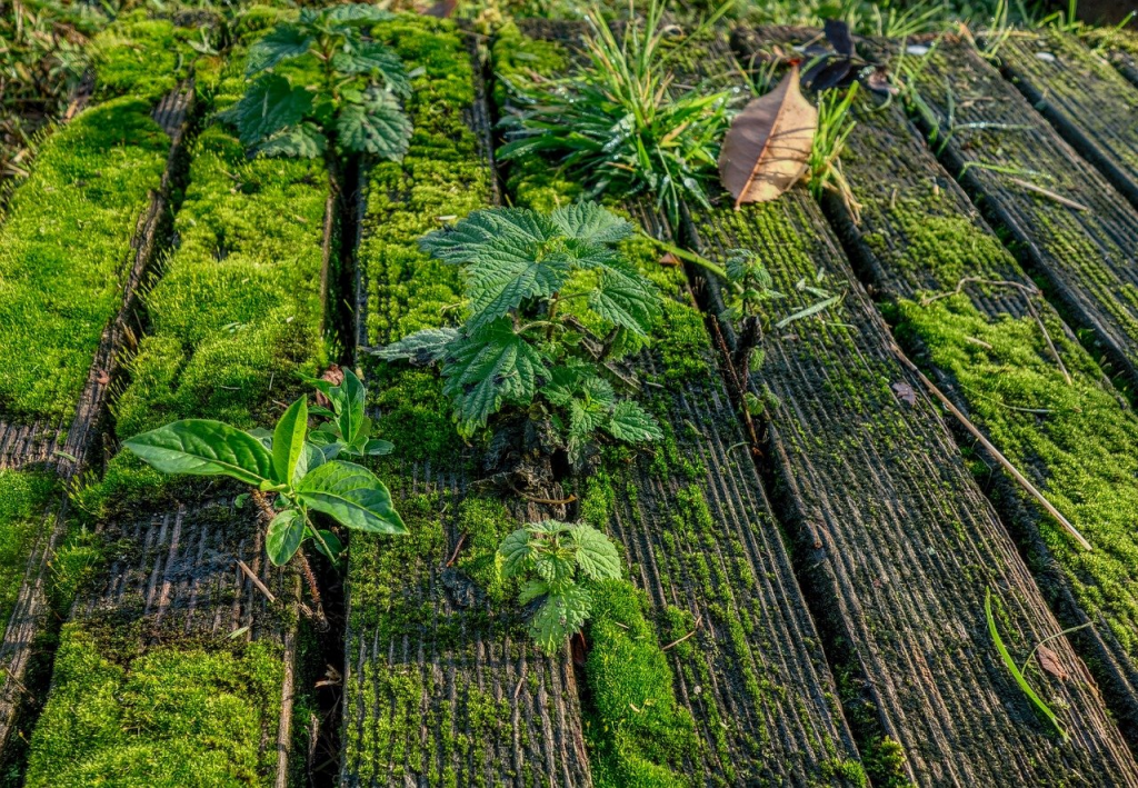 Best Wood Protector for Outdoor Furniture and Deck Archute