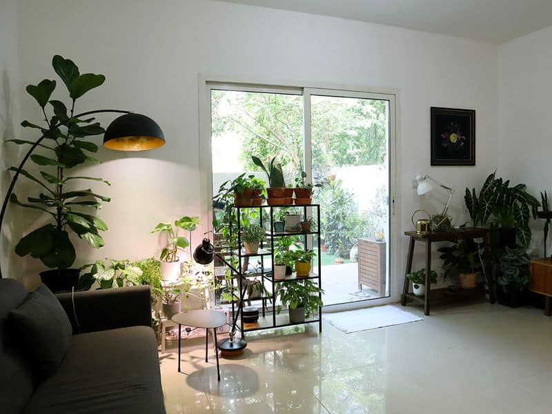 Pack The Plants For The Most Impact