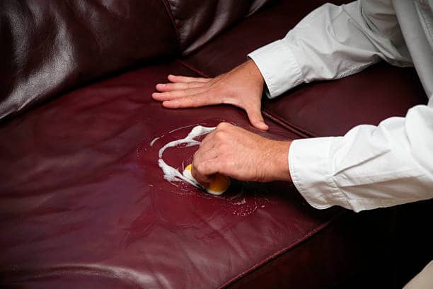A professional cleaning a leather sofa.
