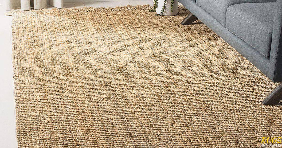 Best sisal rugs