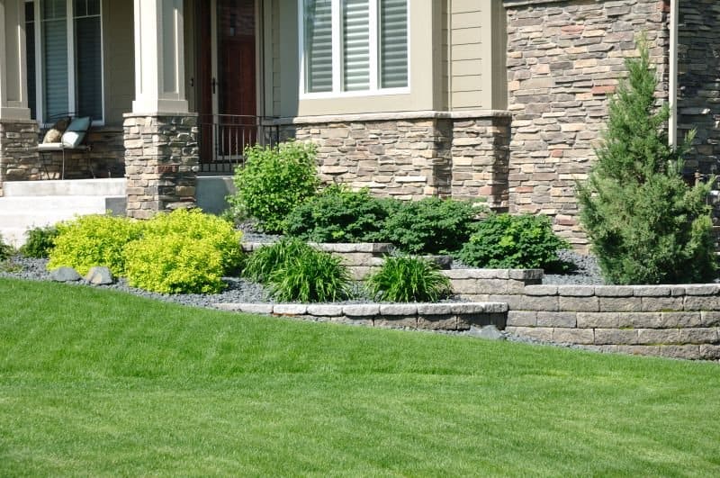Overhaul The Lawn