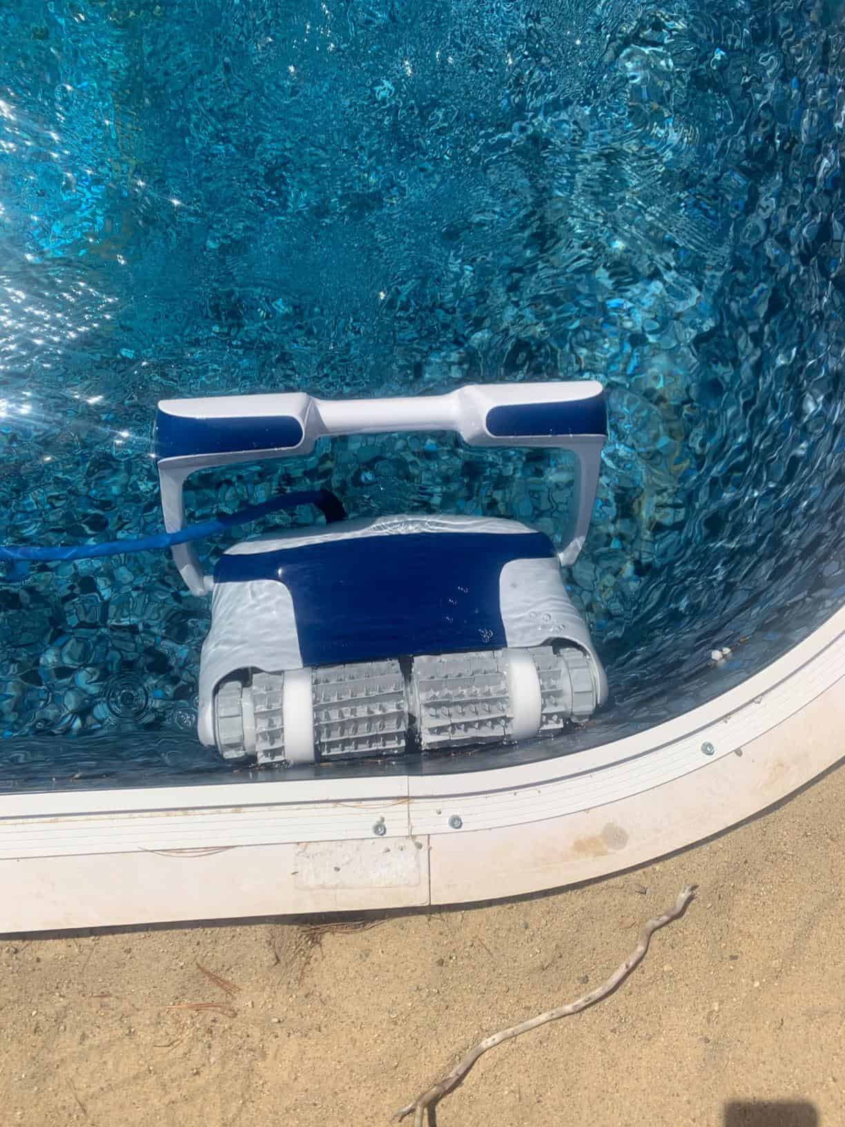 Best Dolphin Pool Cleaner For Sparkling Swimming Pools Archute