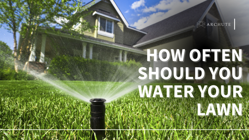 How Often Should You Water Your Lawn (Tips & Guides) Archute