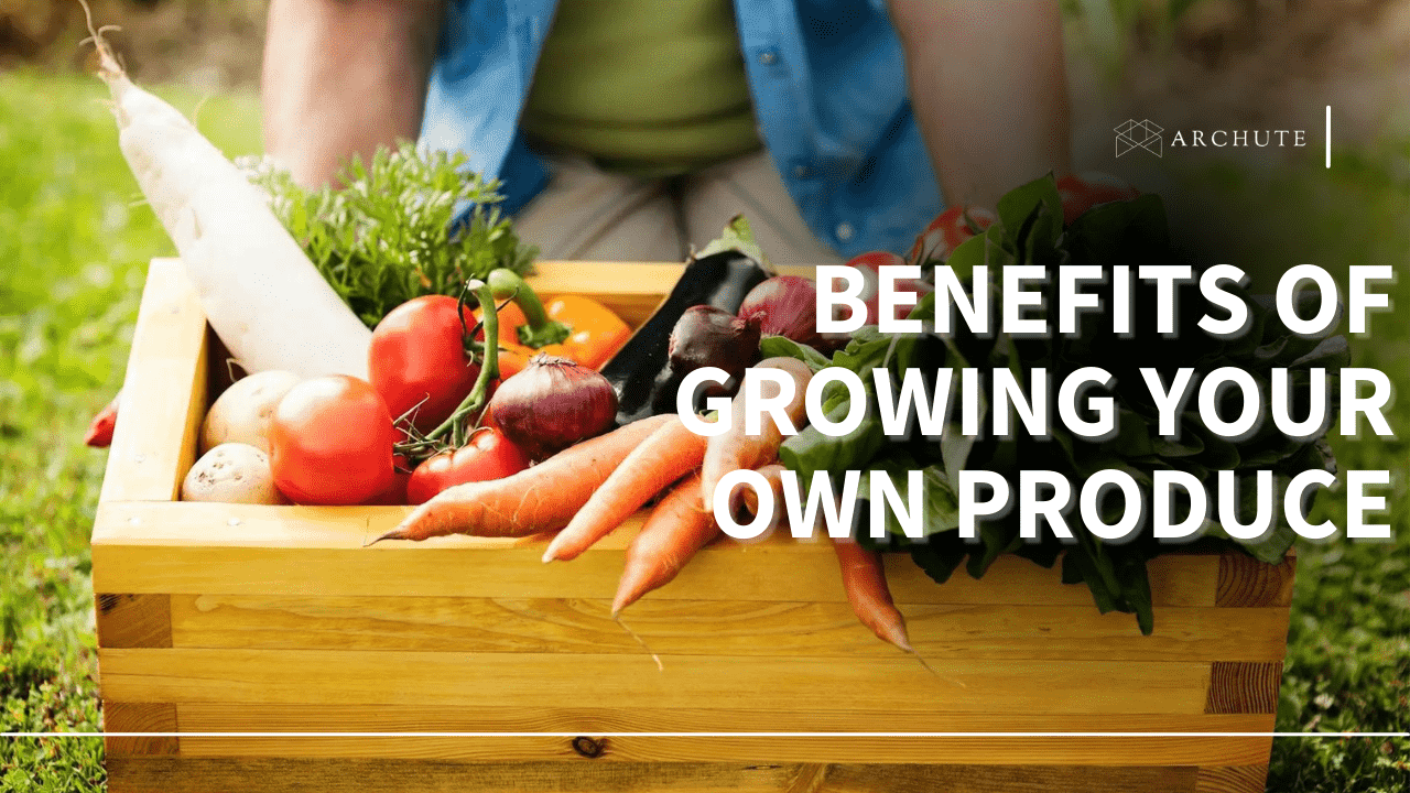 The benefits of growing your own produce
