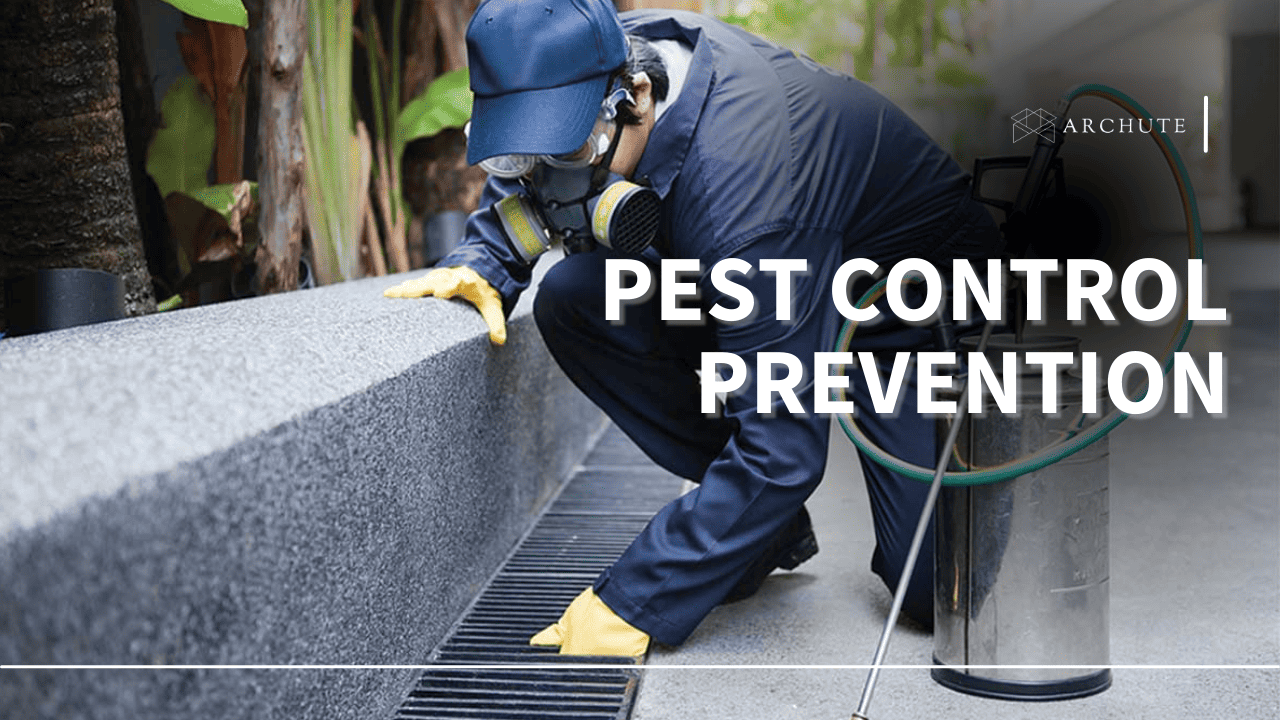 Pest Control Prevention