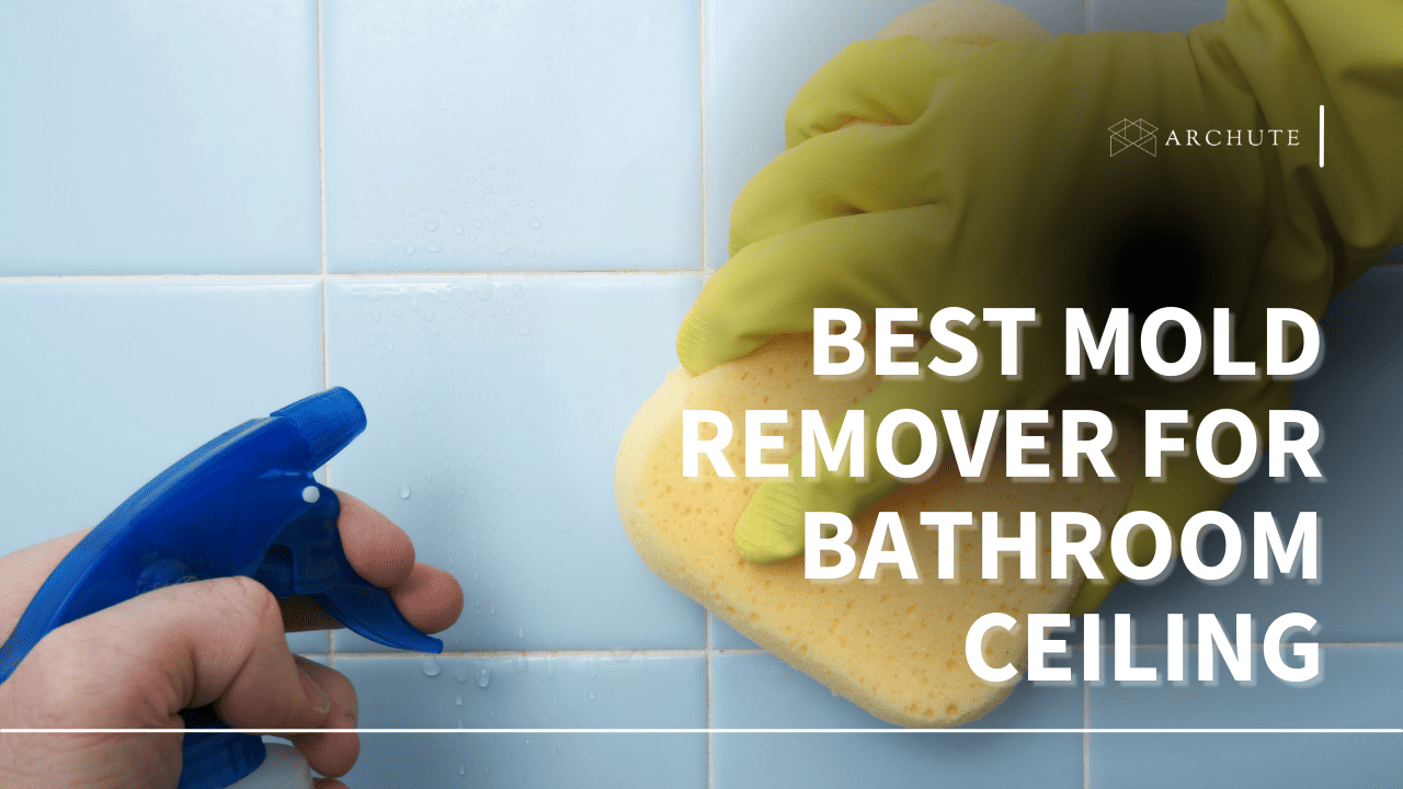 Best Mold Remover for Bathroom Ceiling