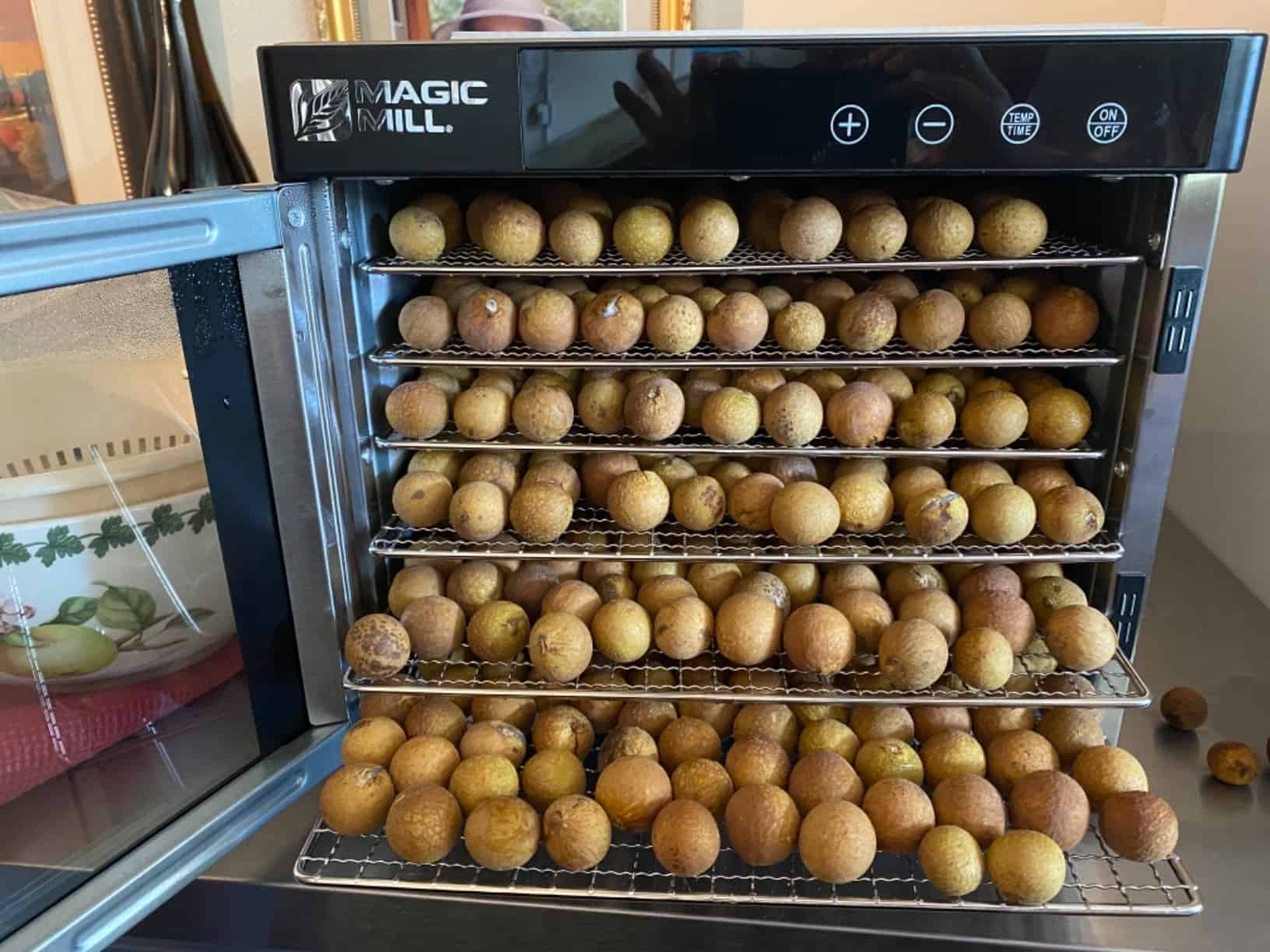 Best Food Dehydrators Preserving Flavor and Nutrition Archute