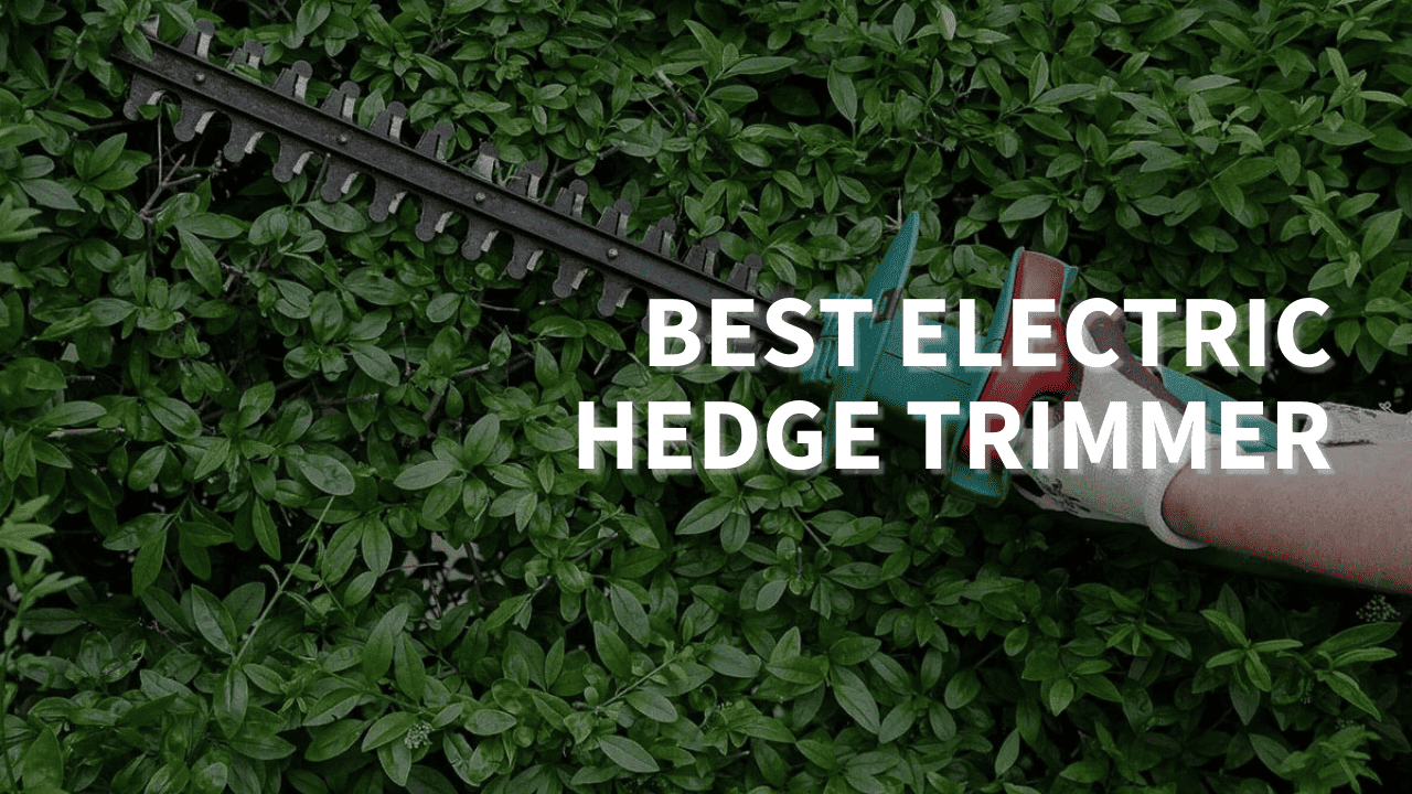Best Electric Hedge Trimmer