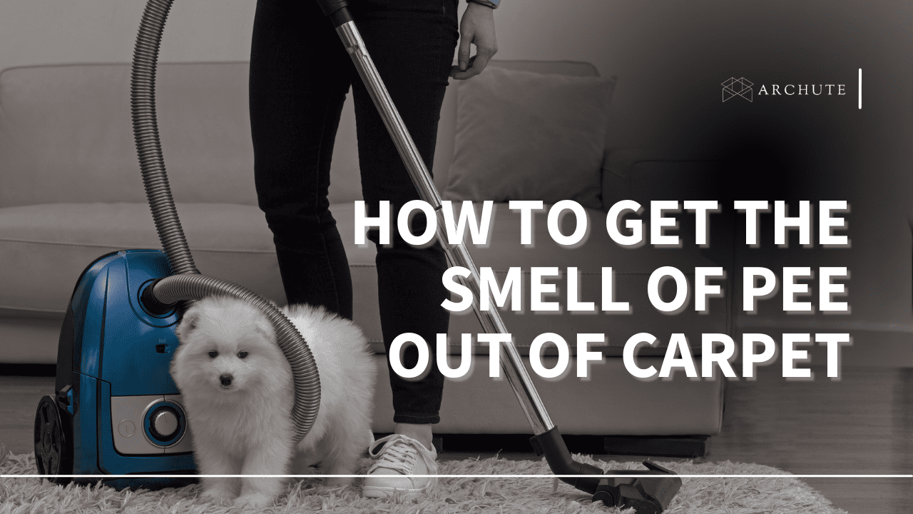 how to get pee out of carpet smell