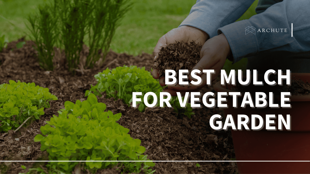 best mulch for vegetable garden