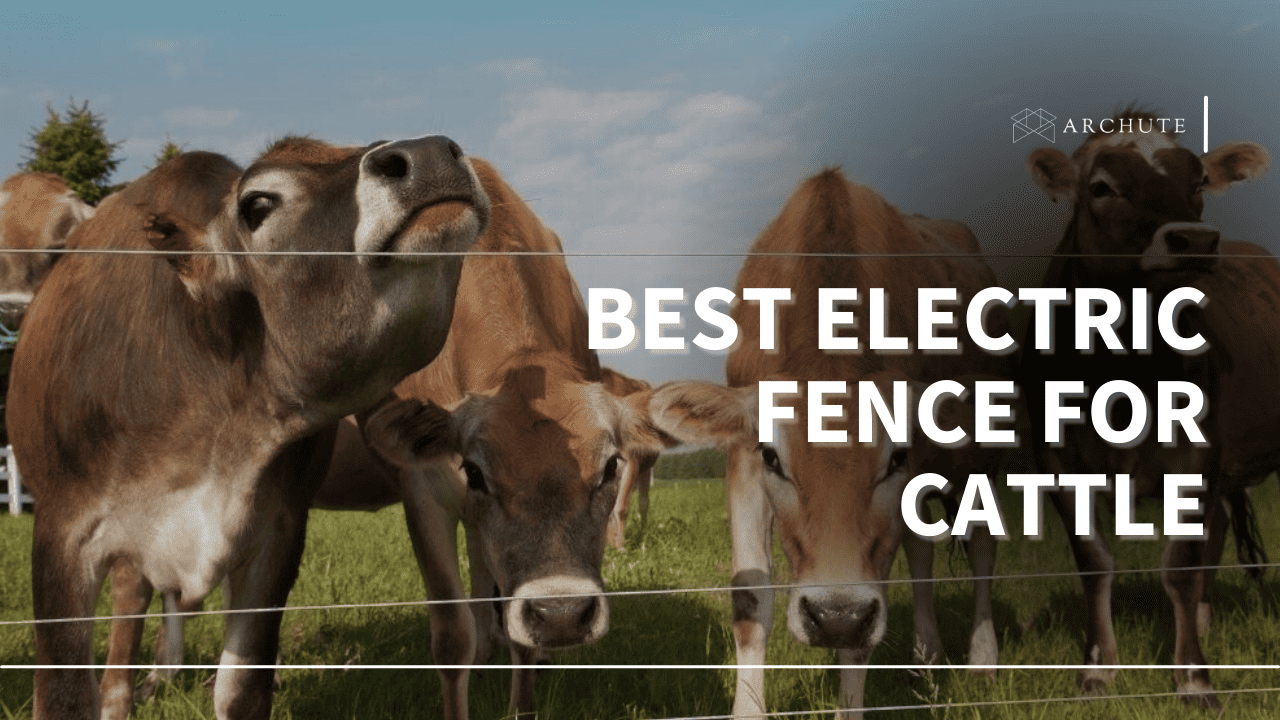 Best Electric Fence for Cattle